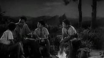 国产老电影一夺印视频,国产老电影中的抗战传奇