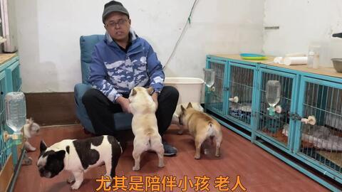 国产调教重口母狗视频,尺度惊人，尺度突破极限