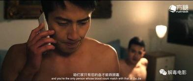 帅伯门户国产视频,国产视频领域的璀璨明珠