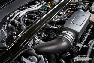 国产探险者讲解视频,揭秘神秘之旅的精彩瞬间