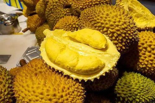 国产榴莲有多厉害视频,揭秘我国榴莲产业的辉煌成就