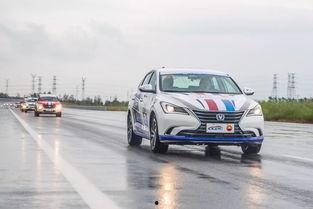 国产车性能大赛视频,巅峰对决，性能盛宴