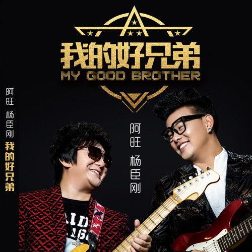 国产兄弟歌曲大全视频下载,重温经典，共赏深情旋律