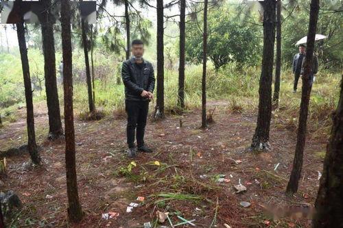 国产野外树林日b视频