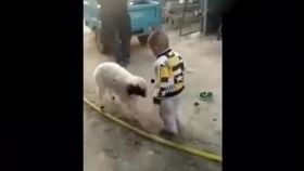 小孩国产搞笑视频合集,国产搞笑视频合集欢乐盘点